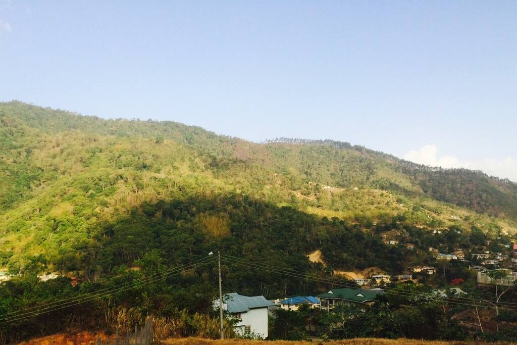 Scenic Maracas Valley View