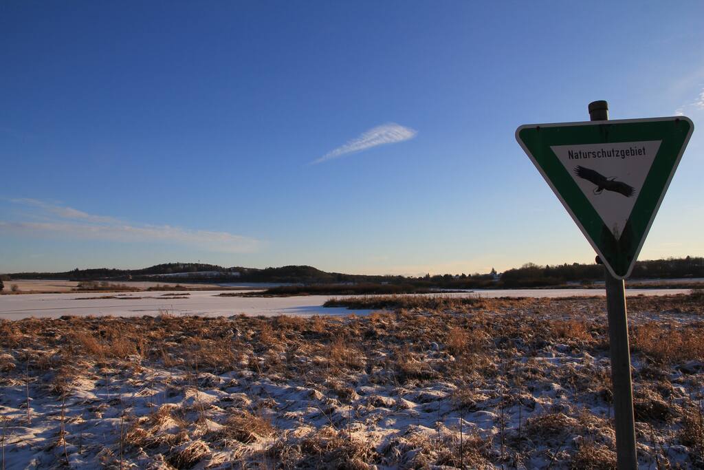 Ulmener Weiher im Winter