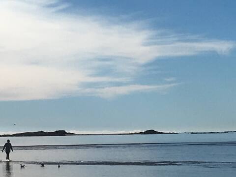 Perfect beach house, perfect location