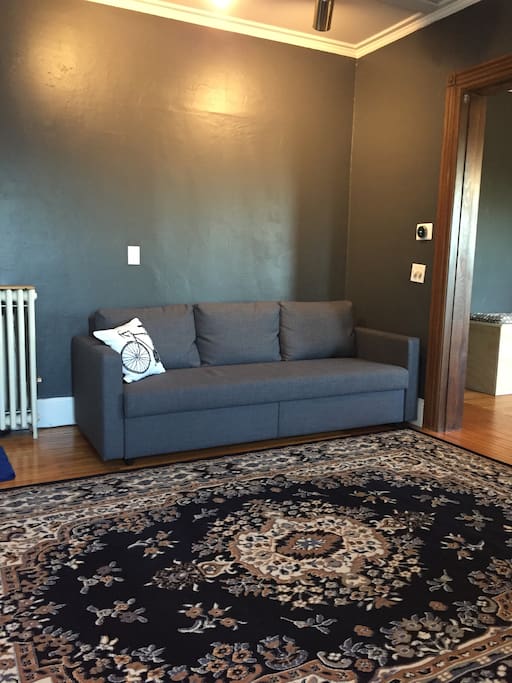 Pull out couch in the room