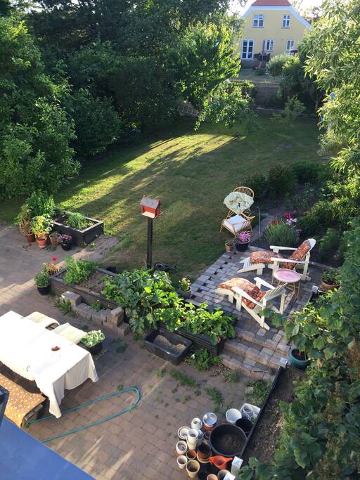 Haven set fra terassen