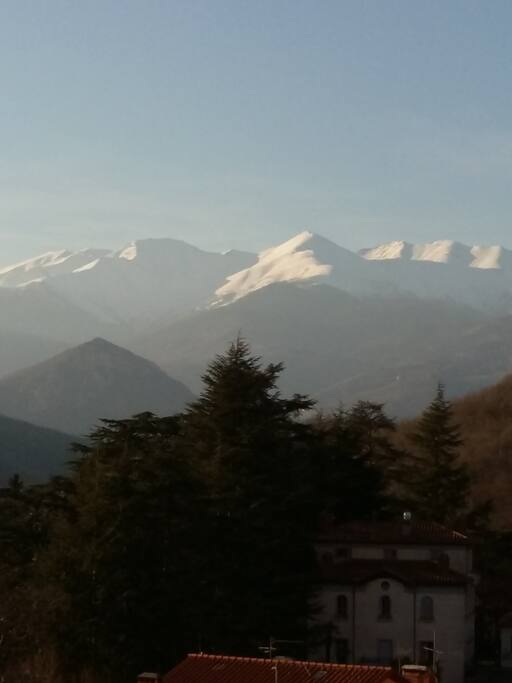 Le Canigou depuis la Terrasse
