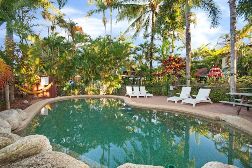 Our inviting tropical swimming pool, plenty of Hammocks to relax in