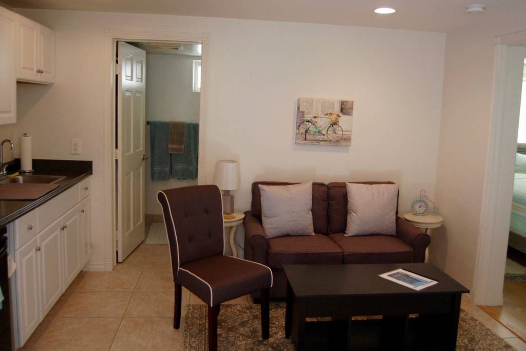 Living area. Couch folds out to comfortable twin bed