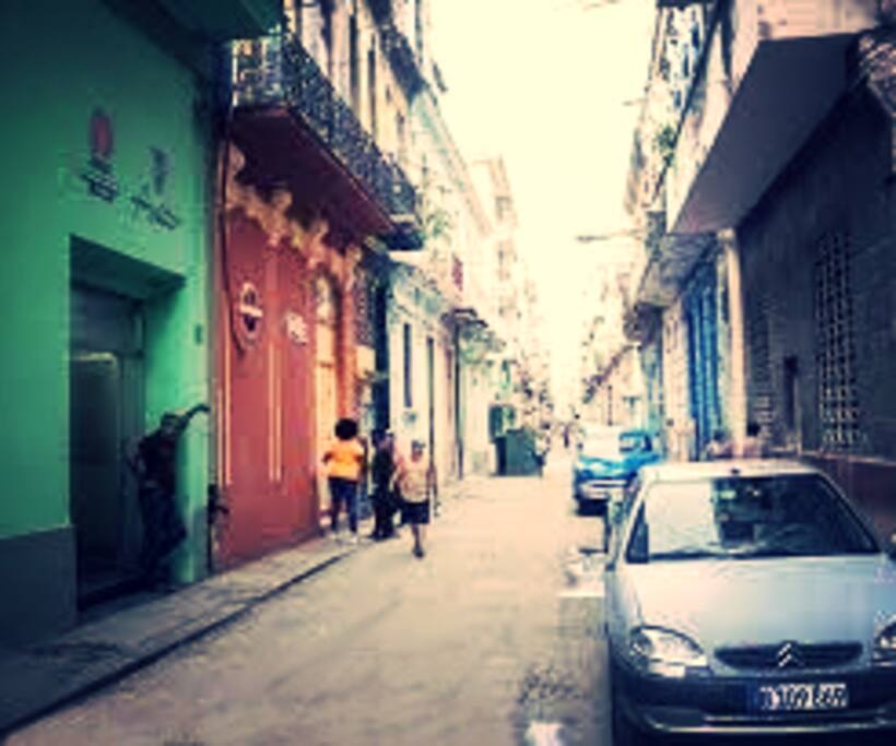Lealtad