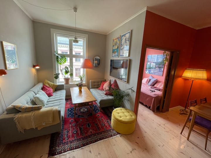 Koselig Leilighet Sentralt I Oslo - Oslo