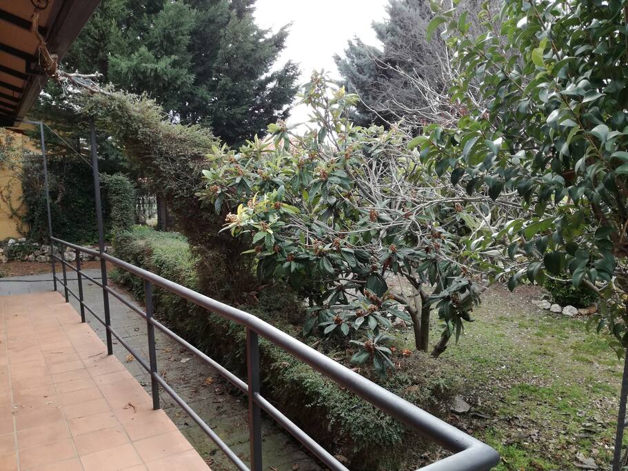 SALIDA JARDIN CON RAMPA