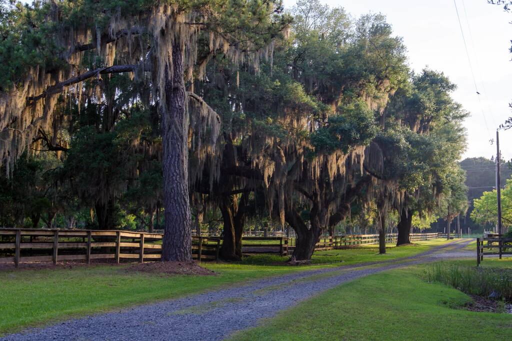 View of Drive