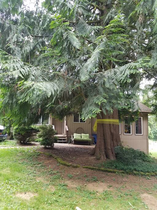 Front of the house