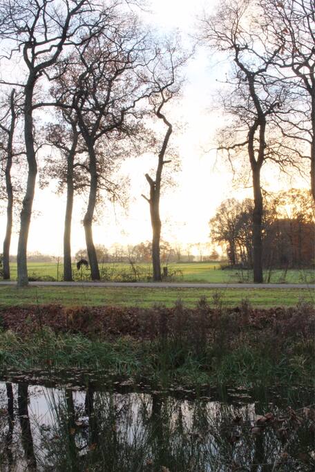 Het huis is gelegen aan de rand van het dorp. Aan het ene eind van de straat het bos en aan de andere kant dit weidse landschap.