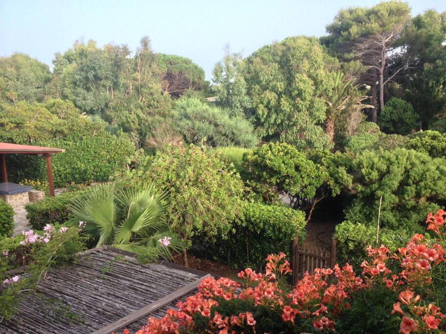 Vista giardino
