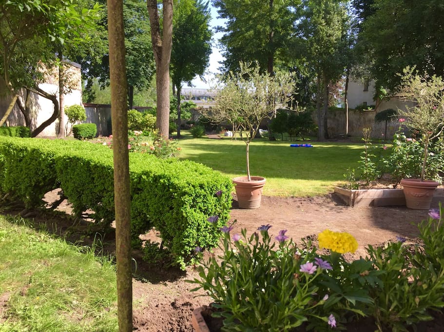 Cour avec jardin ☀️