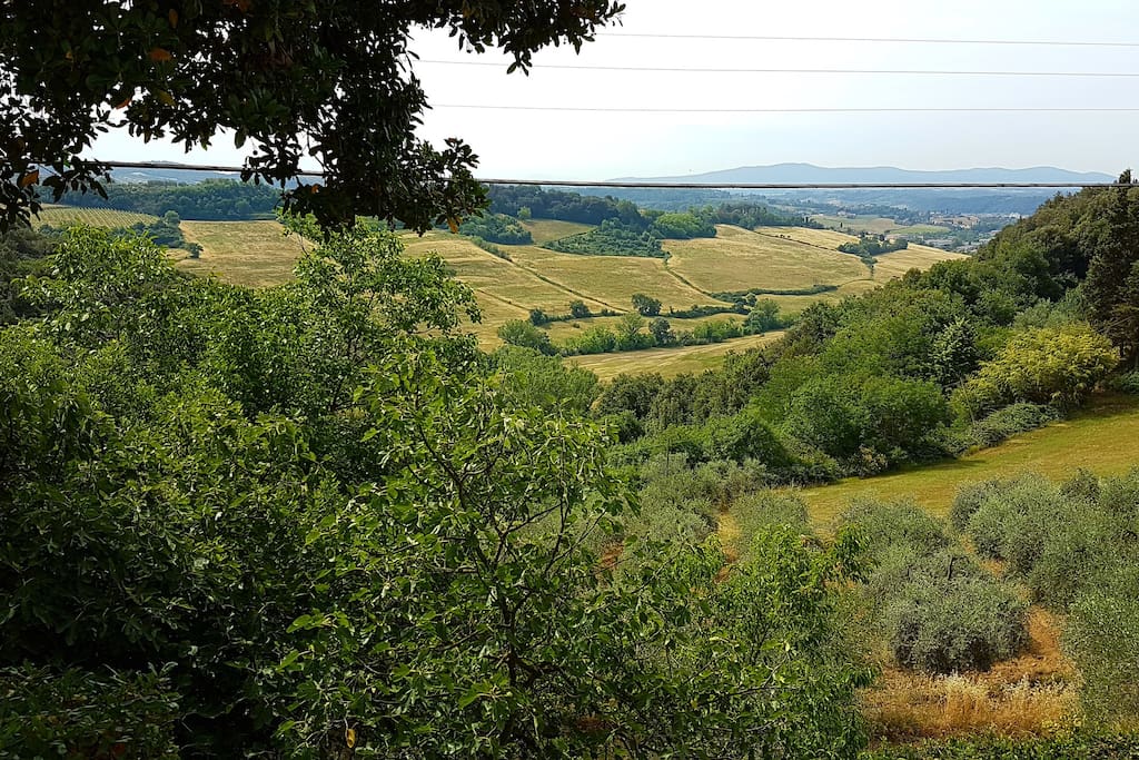 View on the Tuscan hills
Vista sulle colline Toscane