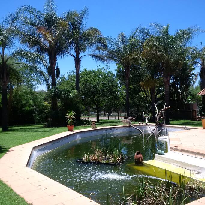 Eco Pool