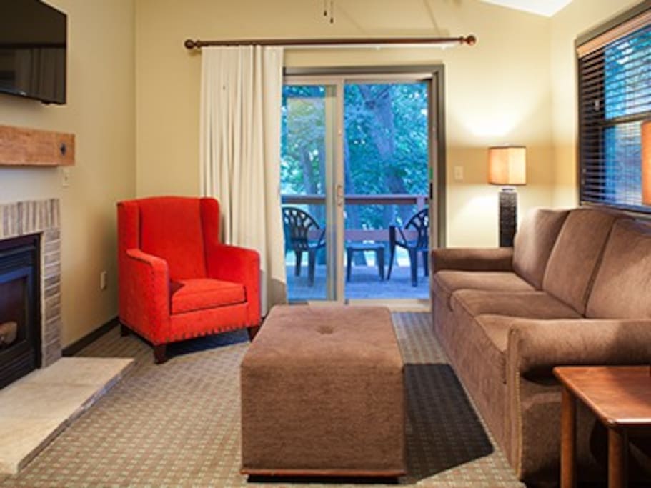 Livingroom w/ sofabed