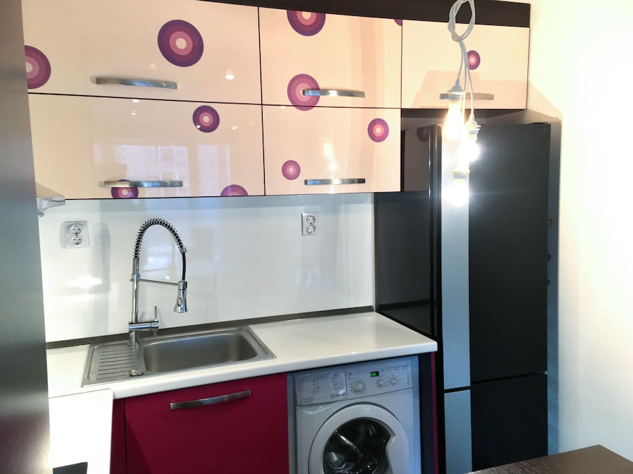 Fully equipped kitchenette with high end appliances- a dishwasher, oven, ceramic plates, washing machine, juicers, refrigerator, kitchen equipment.