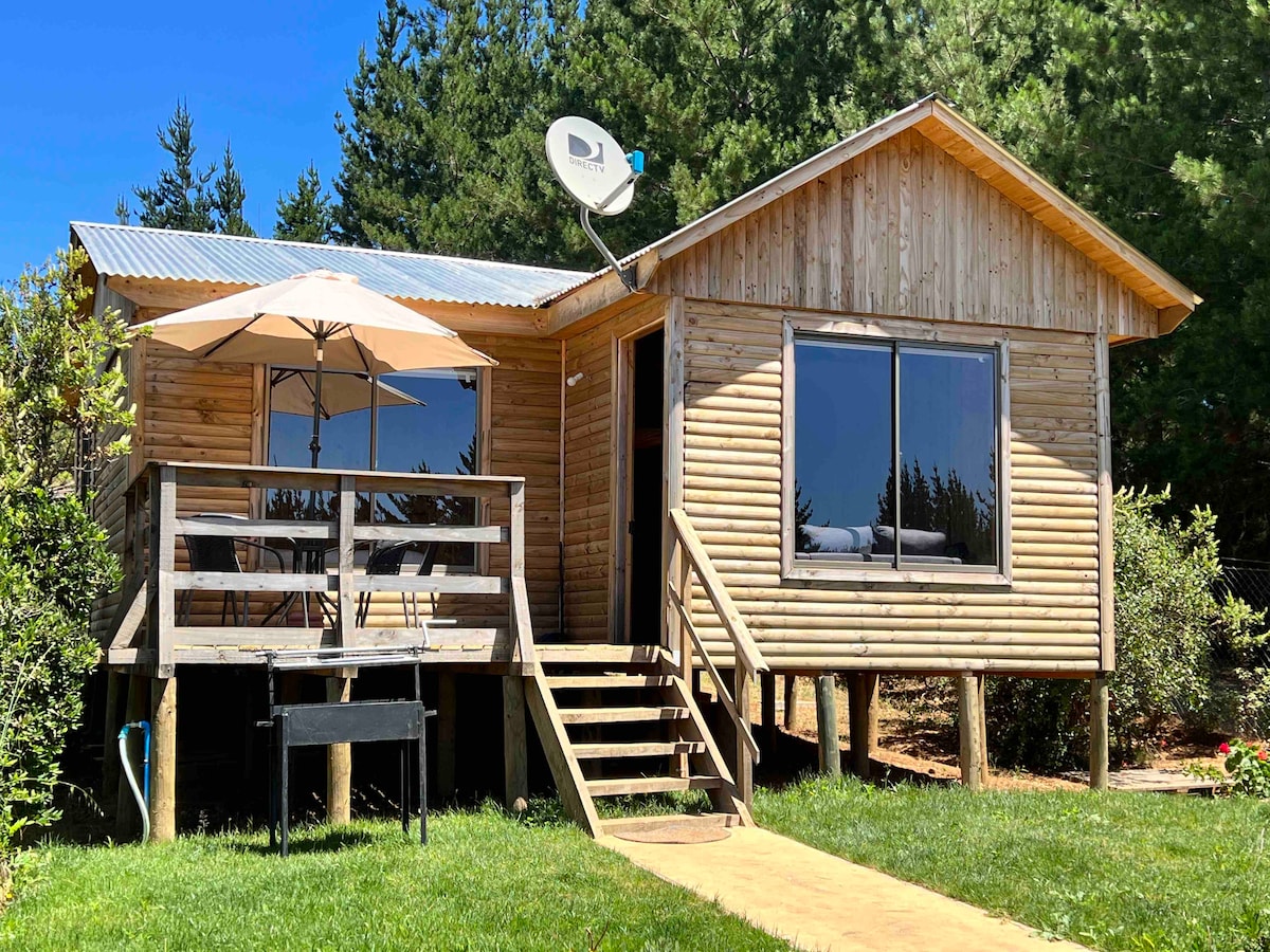 A wooden cabin features a sloped roof and large windows, offering views of the surrounding greenery. A small patio area is visible, equipped with an umbrella over a table and chairs. A charcoal grill is positioned near the entrance, enhancing the outdoor space.
