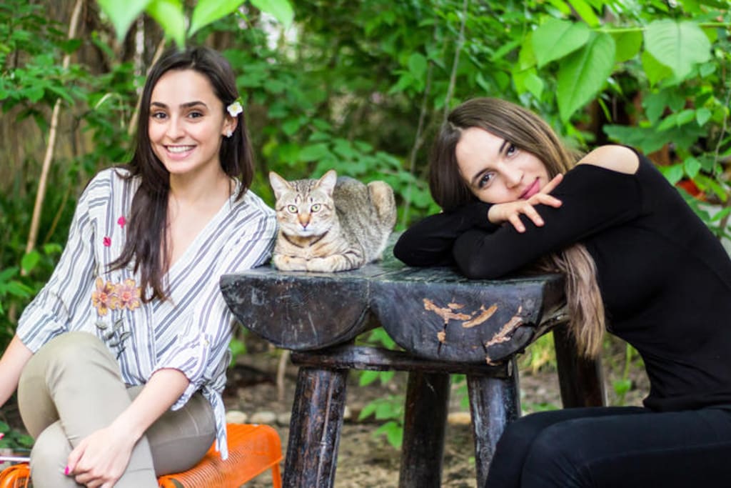 Meet our cats