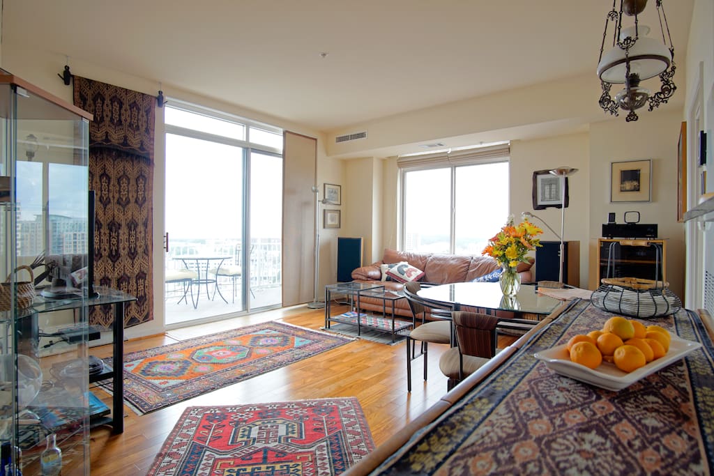Apt. Living Room 1