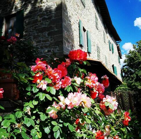 Podere I Rovai-apt IL RIFUGIO-amazing view Tuscany