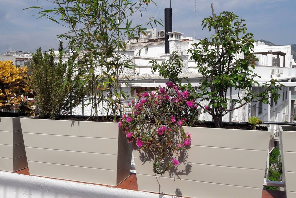 nouvel aménagement terrasse