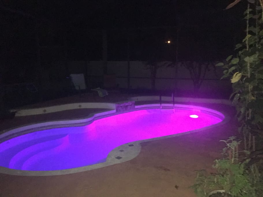 Private backyard pool with color light.