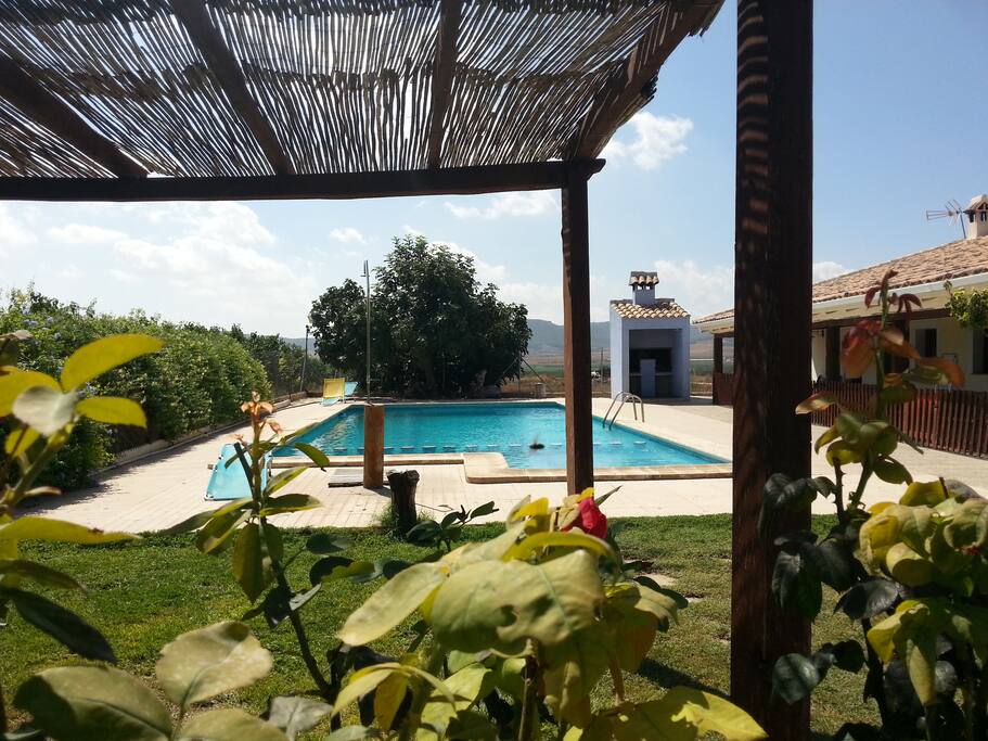 Piscina en zona comun