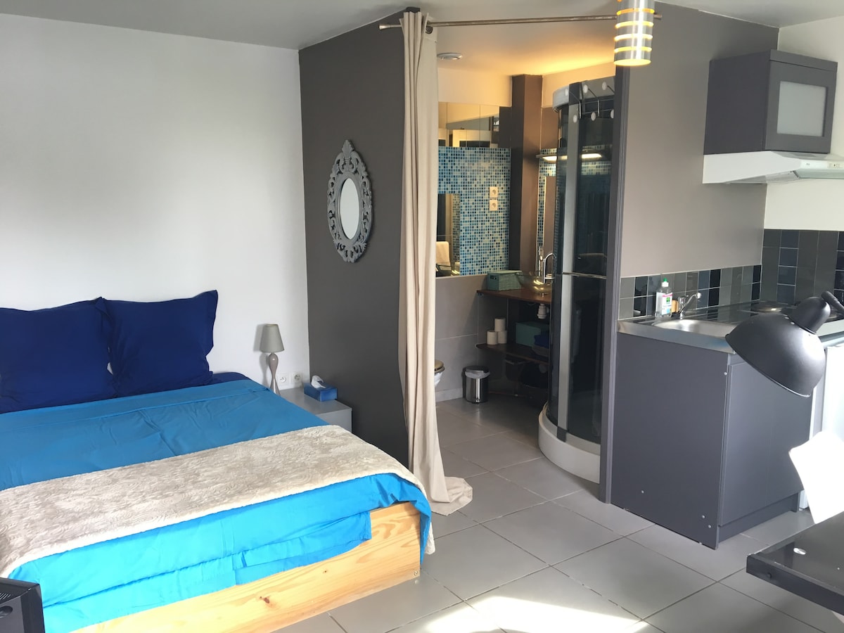 სტუდიო 23 მ2, დამოუკიდებელი შესასვლელი სამზარეულოთი, საშხაპე ოთახი + უნიტაზი, საგარდერობო ოთახი, სათავსო 