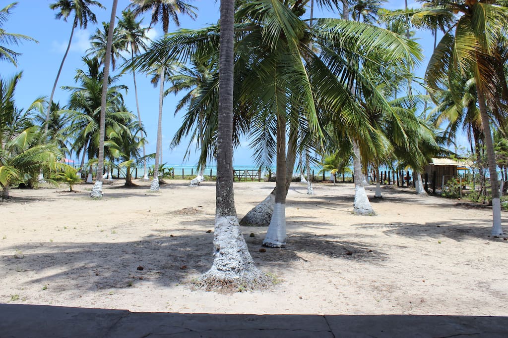 Vista para praia