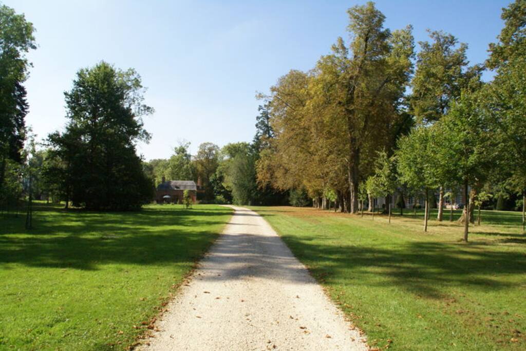 Vue du parc