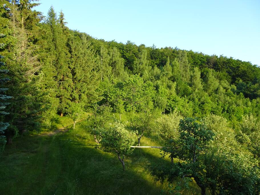 A view from the balcony