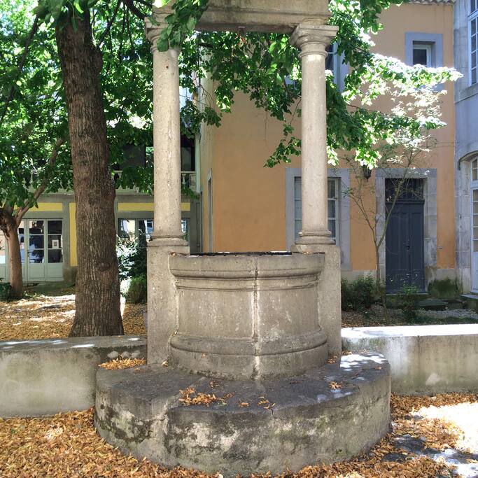 Jardin de l'immeuble