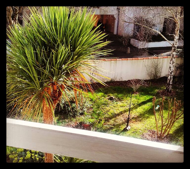 Vue du jardin (en hiver) de 300 m2