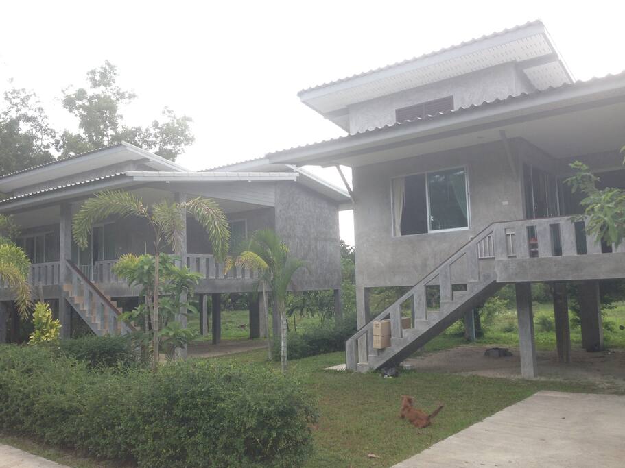 house 1 and 2