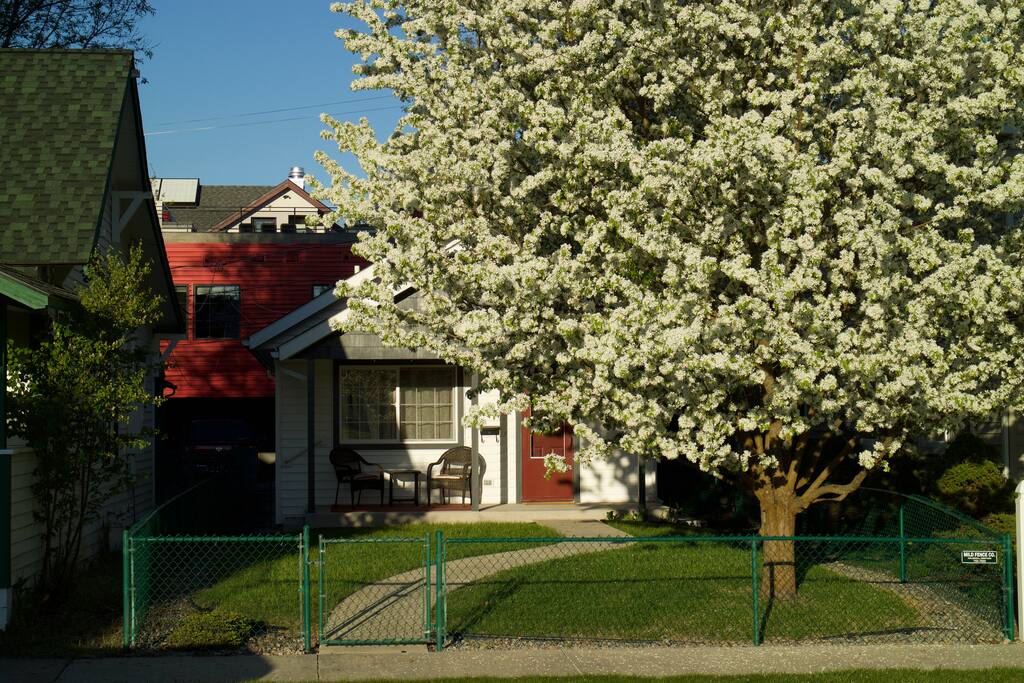 The Bungalow