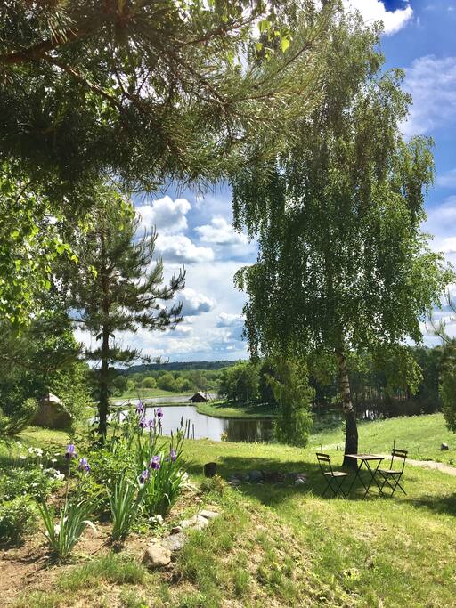 Front yard in summer time