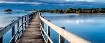 A wooden boardwalk extends over calm blue waters, leading into the distance. Lush greenery can be seen along the water's edge, where the trees reflect softly in the tranquility of the surroundings under an overcast sky.