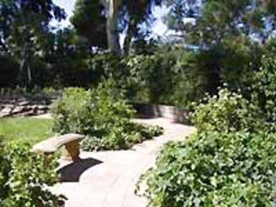 Outdoor garden