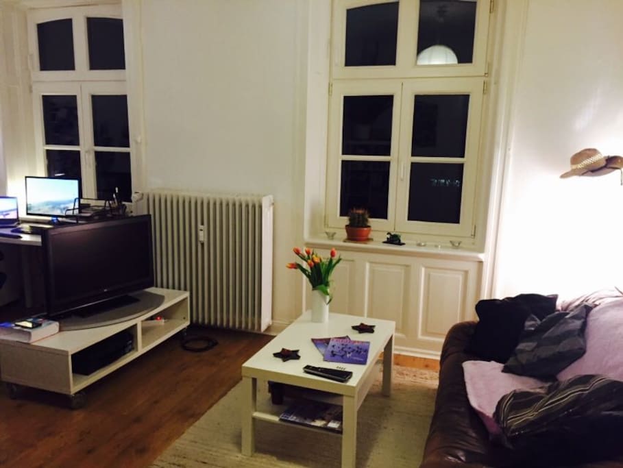 combined bedroom / living room