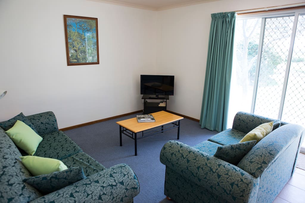 Sofa bed in the living area with flat screen tv