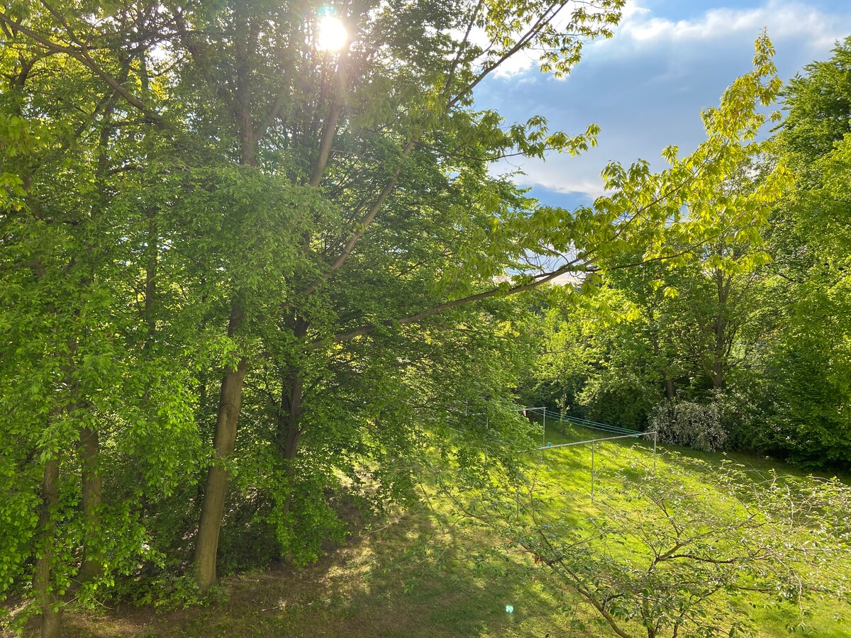 Sunlight filters through lush green leaves, illuminating a serene outdoor space. The view features trees and softly manicured grass, creating a peaceful ambiance. A hint of garden furniture is visible, suggesting a relaxing area for enjoyment in nature.