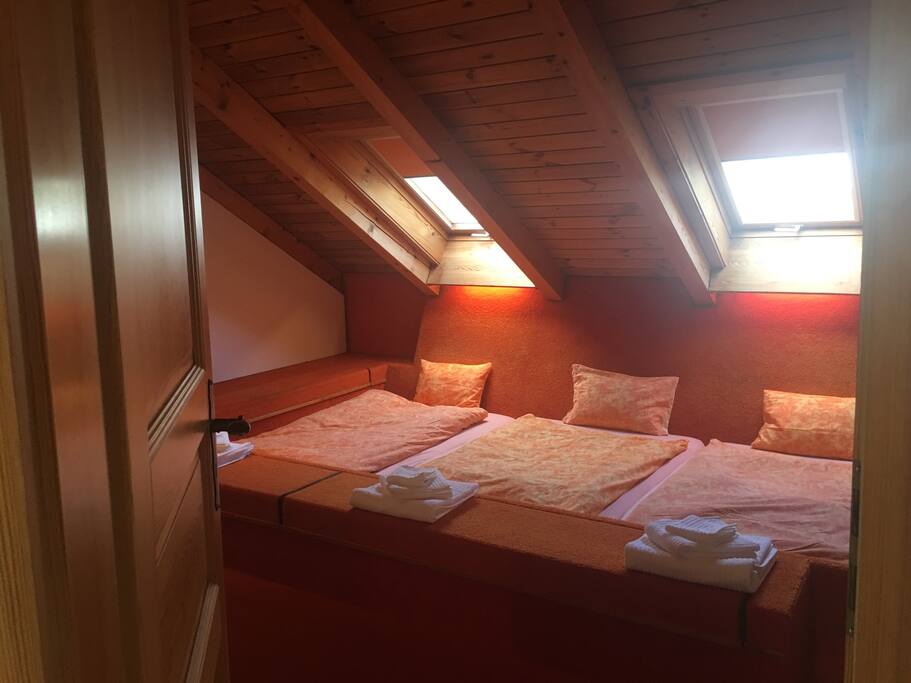a deep-revitalizing sleep is all you need! a chalet-zenlike pure-unpretentious-natural wood special treat for you, embracing you in full comfortable bed. As you wish, you may open your little roofwindows, spot some stars or the moon at night as you gaze above your bed..! Or simply Retire, Shut it all down, close your Bedroom for complete Rest of the Day! Then... Wake up to your busy schedule next day, hearty breakfast and....YES! you'll find yourself still checked In right in the heart of Zuerich CITY!!!!!