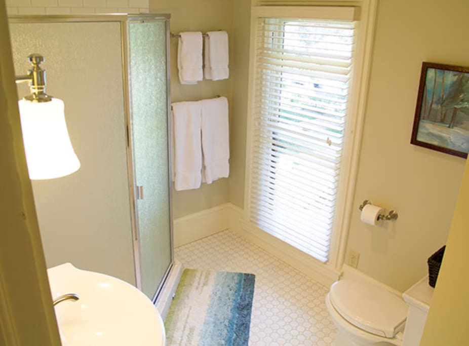 Private bathroom with walk in shower.