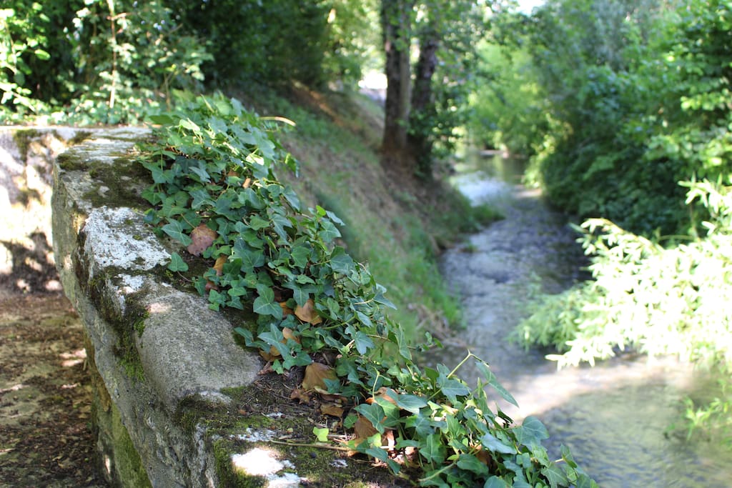 Le jardin avec ruisseau