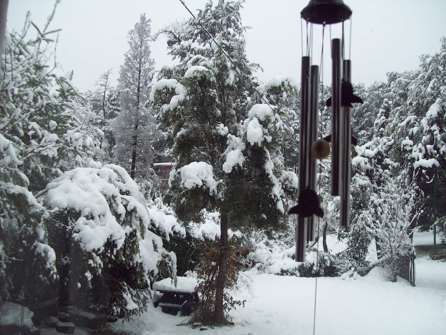 mañana de nieve desde el comedor