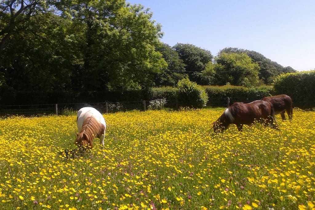 A beautiful summers day!
