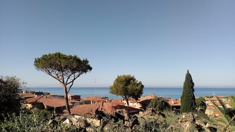 Top Airbnb: Olive tree house with sea view! in Castiglione Della Pescaia