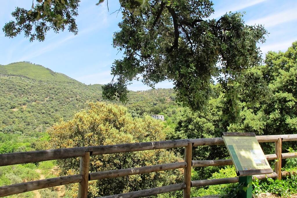 mirador la chorrera