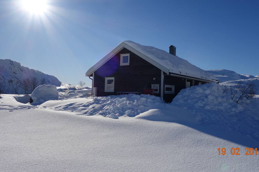 Fjellsoli February 2018