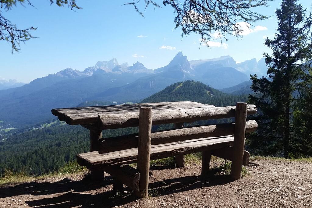 Cortina at its best